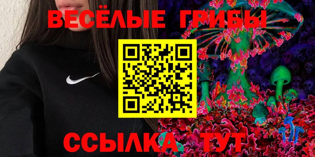 Северск  дарнет шоп  Вход с VPN  Псилоцибиновые грибы GOLDEN TEACHER 