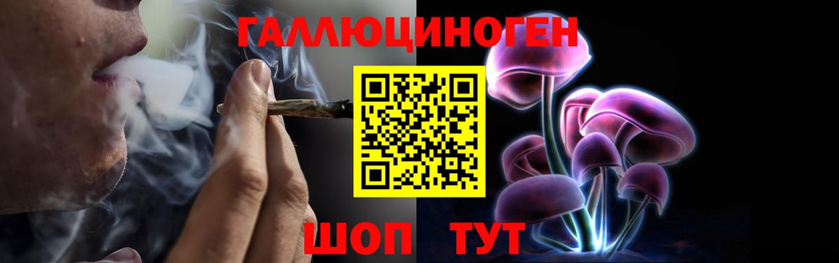 Псилоцибиновые грибы прущие грибы Северск